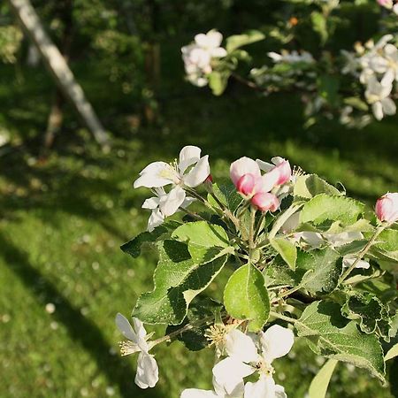 Pension Bauernhof Spielmann Mieming Exteriör bild